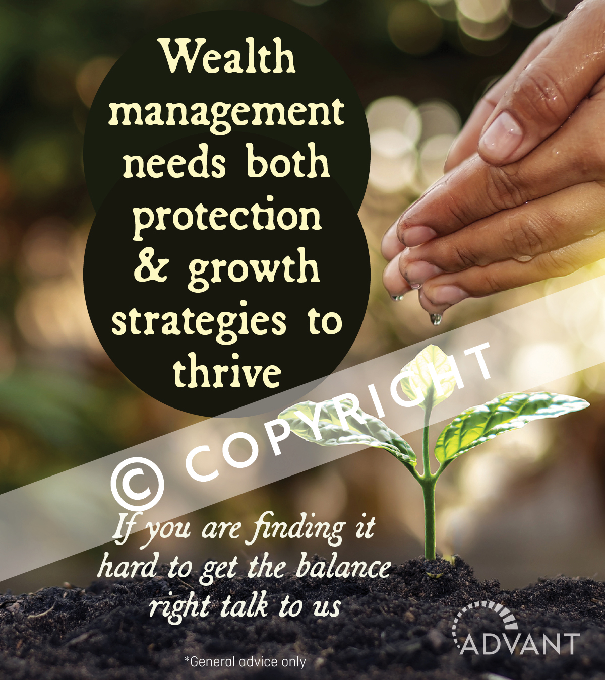 <b>Wealth Protection & Insurance- click here</b>